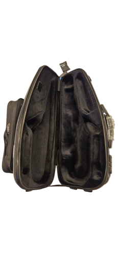 Preview: Winter Omebaige Alto Case