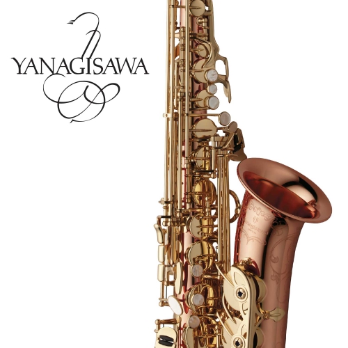 Yanagisawa WO20 Altosax Bronze Korpus GL