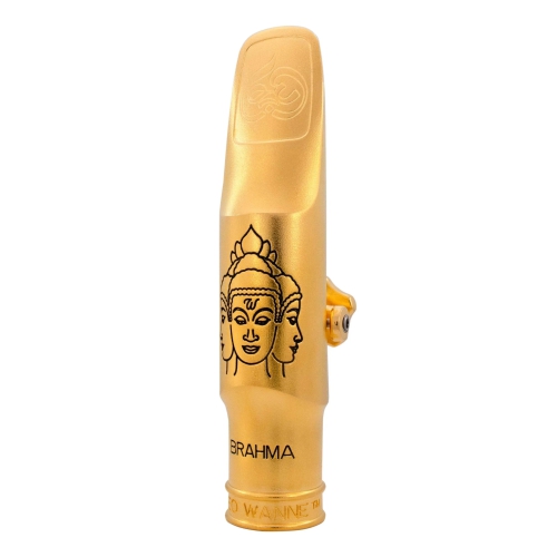 Theo Wanne Brahma Tenor Metall gold 7*