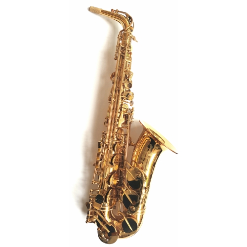 Cannonball A5 - L Altosax Goldlack