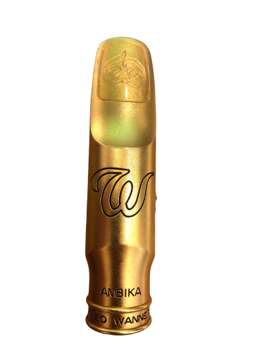 Theo Wanne Ambika metal 9 used commission