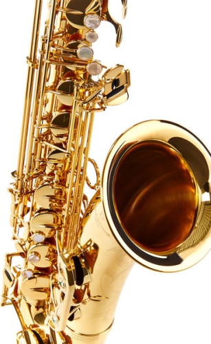 Yanagisawa T-WO10 Tenorsax Elite