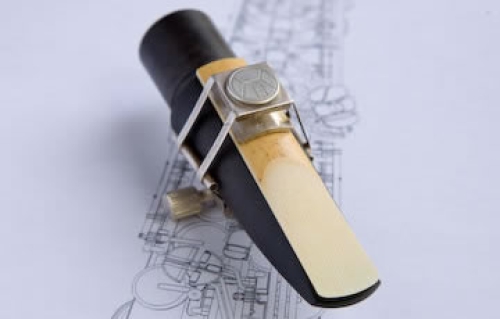Francois Louis Spectruoso Signature Soprano sax S155SP