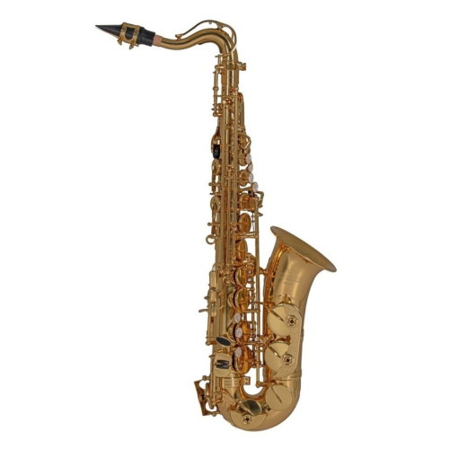 Roy Benson AS201 Kinder Alto Sax ab 6J.