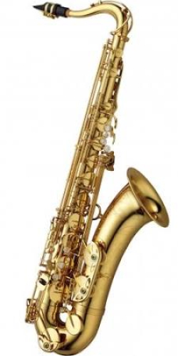 Yanagisawa T-WO2 Tenorsax Bronze Korpus Professional Model