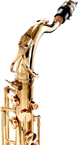 Yanagisawa T-WO10 Tenorsax Elite