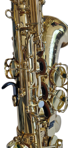 Selmer Super Action S 80 Serie II Alto gebraucht Kommission