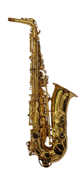 Yanagisawa 500 Altosax Used