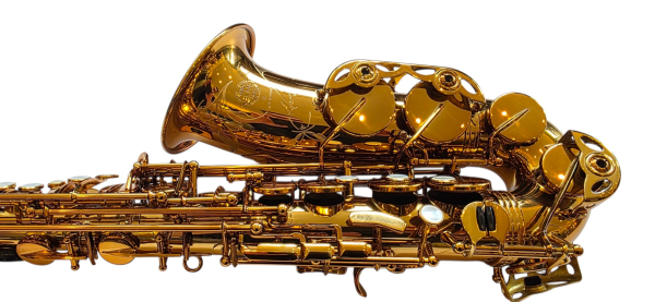 Selmer Reference 54 Alto Saxophone – used