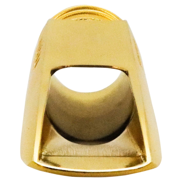 Theo Wanne Lakshmi Alto Metal 6