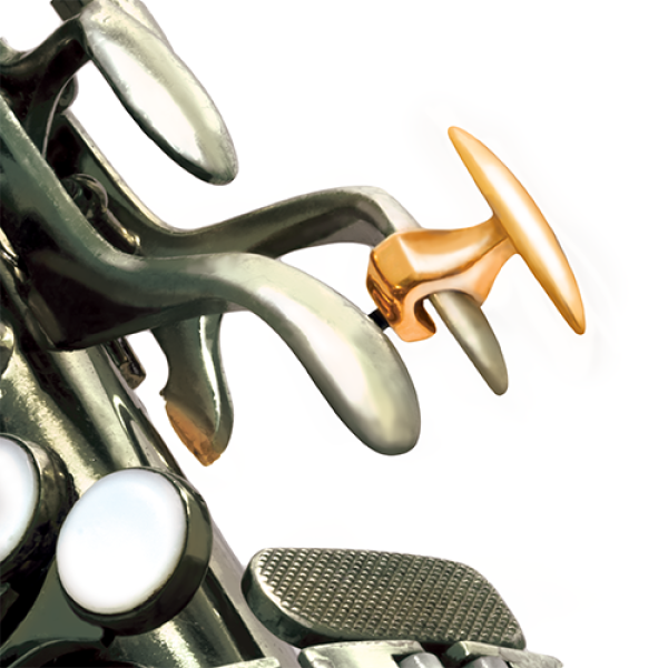 Oleg Palm Key Riser #116