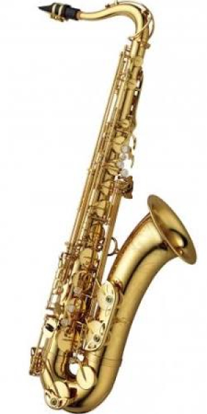 Yanagisawa T-WO2 Tenorsax Bronze Korpus Professional Model